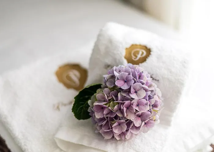 Guestready - Passal - S. Miguel Appartement *